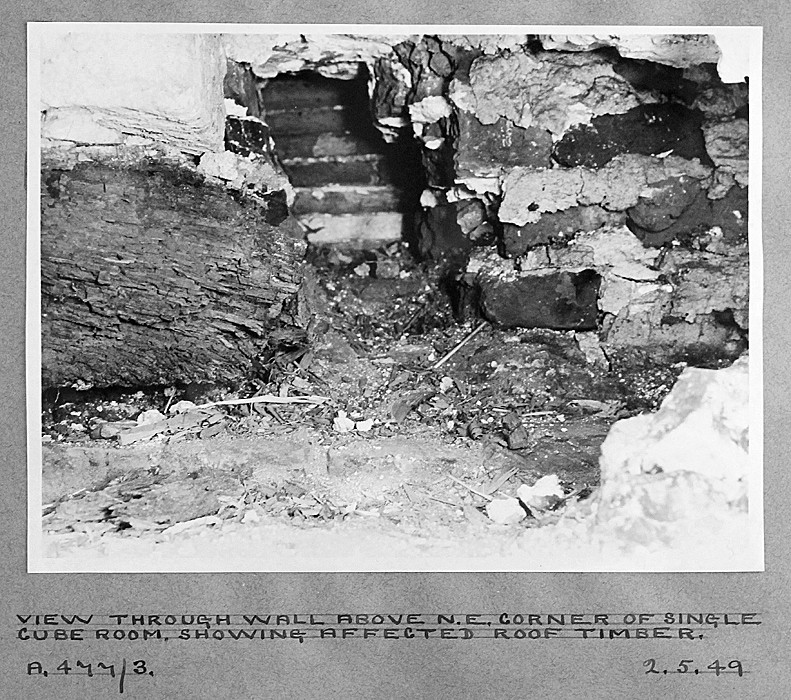 roofing beams completely eaten through